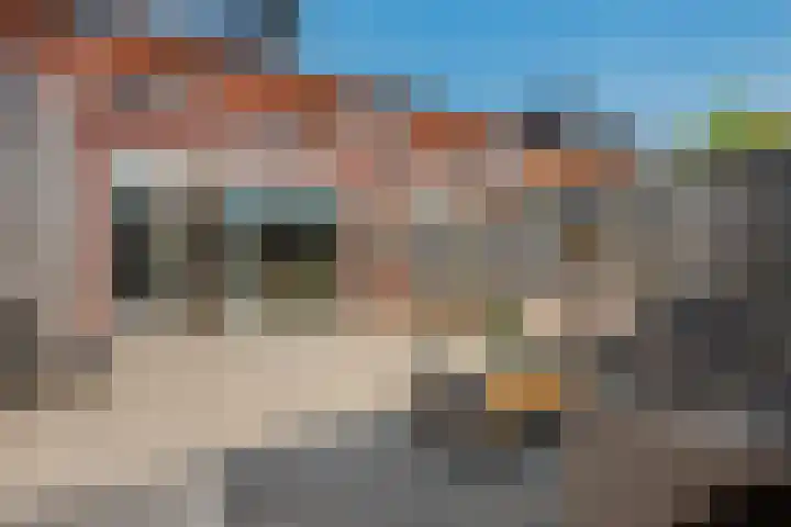 Bundelzwam 28 Vleuten thumbnail 22
