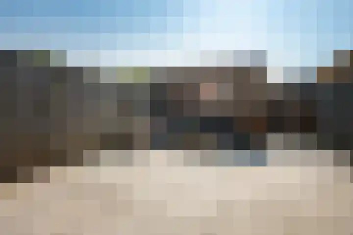Bundelzwam 28 Vleuten thumbnail 23