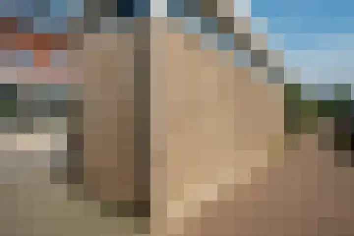 Bundelzwam 28 Vleuten thumbnail 24