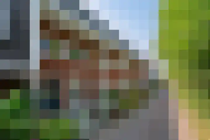Bundelzwam 28 Vleuten thumbnail 25