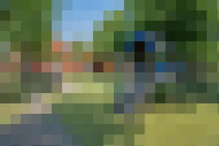 Bundelzwam 28 Vleuten thumbnail 26