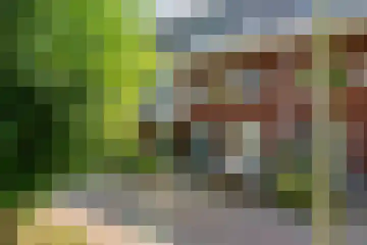 Bundelzwam 28 Vleuten thumbnail 32