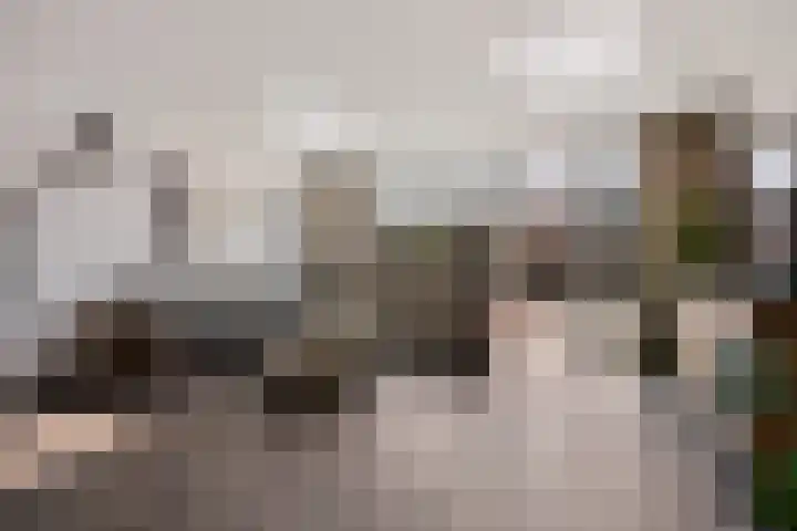 Bundelzwam 28 Vleuten thumbnail 5