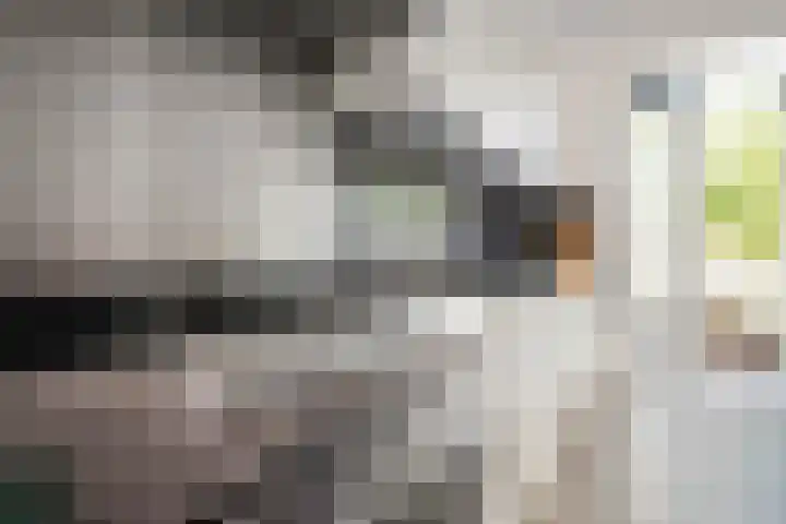 Bundelzwam 28 Vleuten thumbnail 8