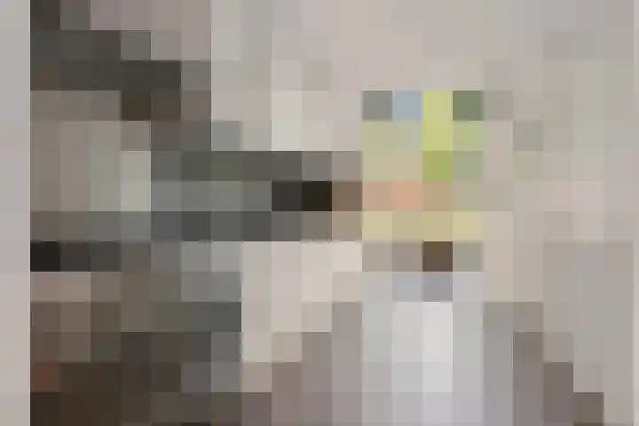 Bundelzwam 28 Vleuten thumbnail 9