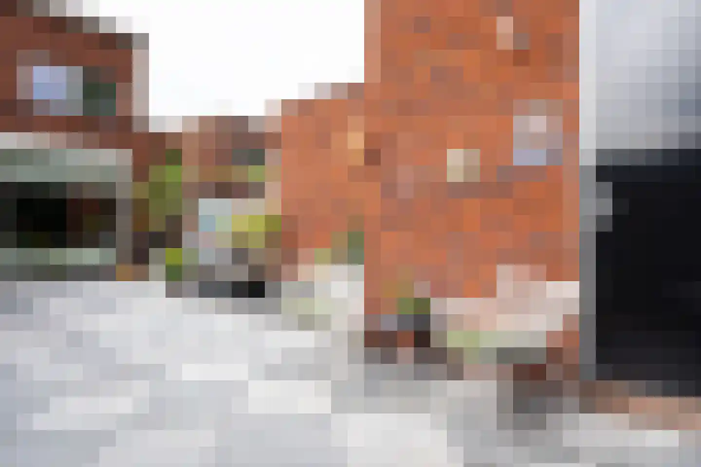 Bundelzwam 29 Vleuten thumbnail 15