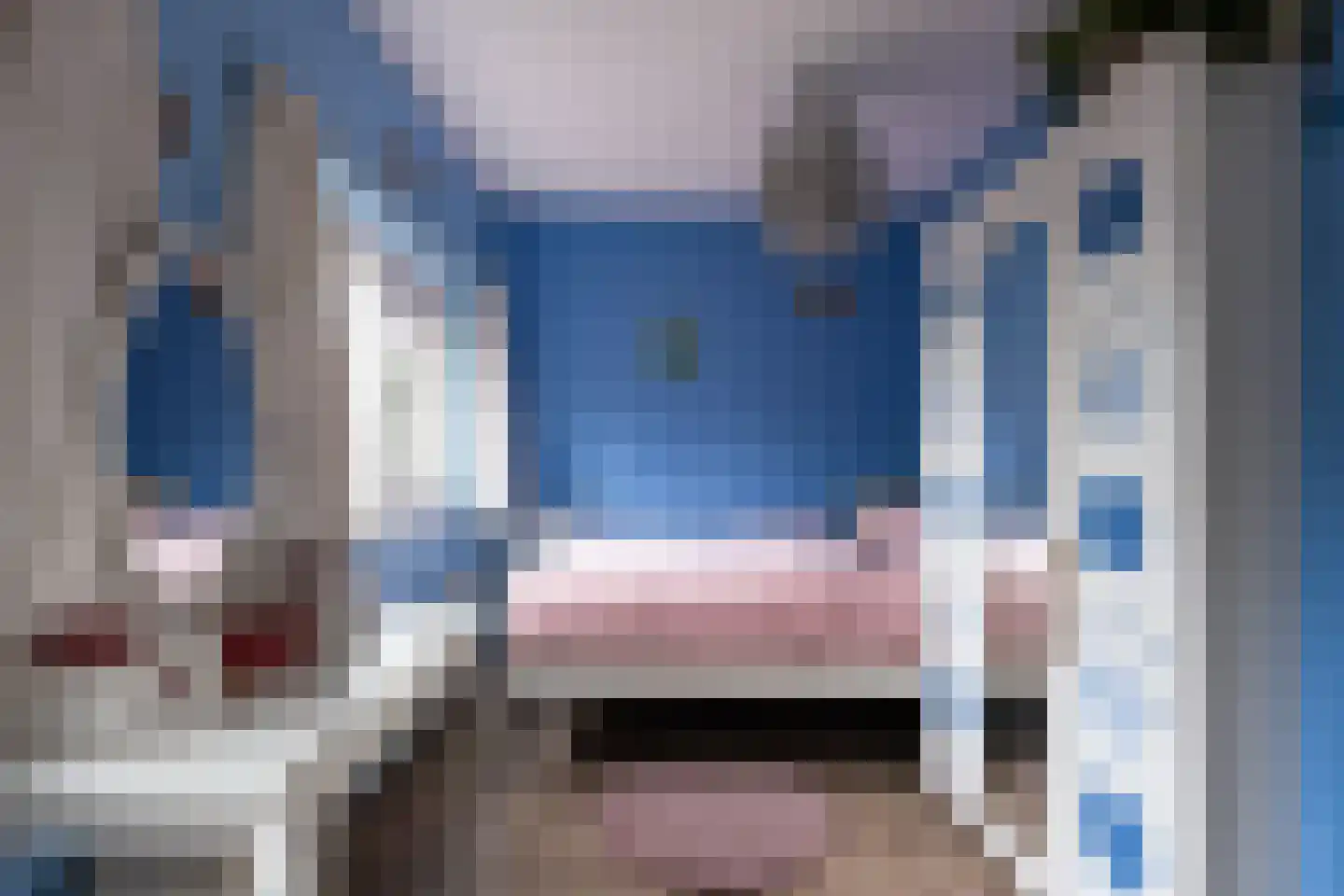 Bundelzwam 29 Vleuten thumbnail 22