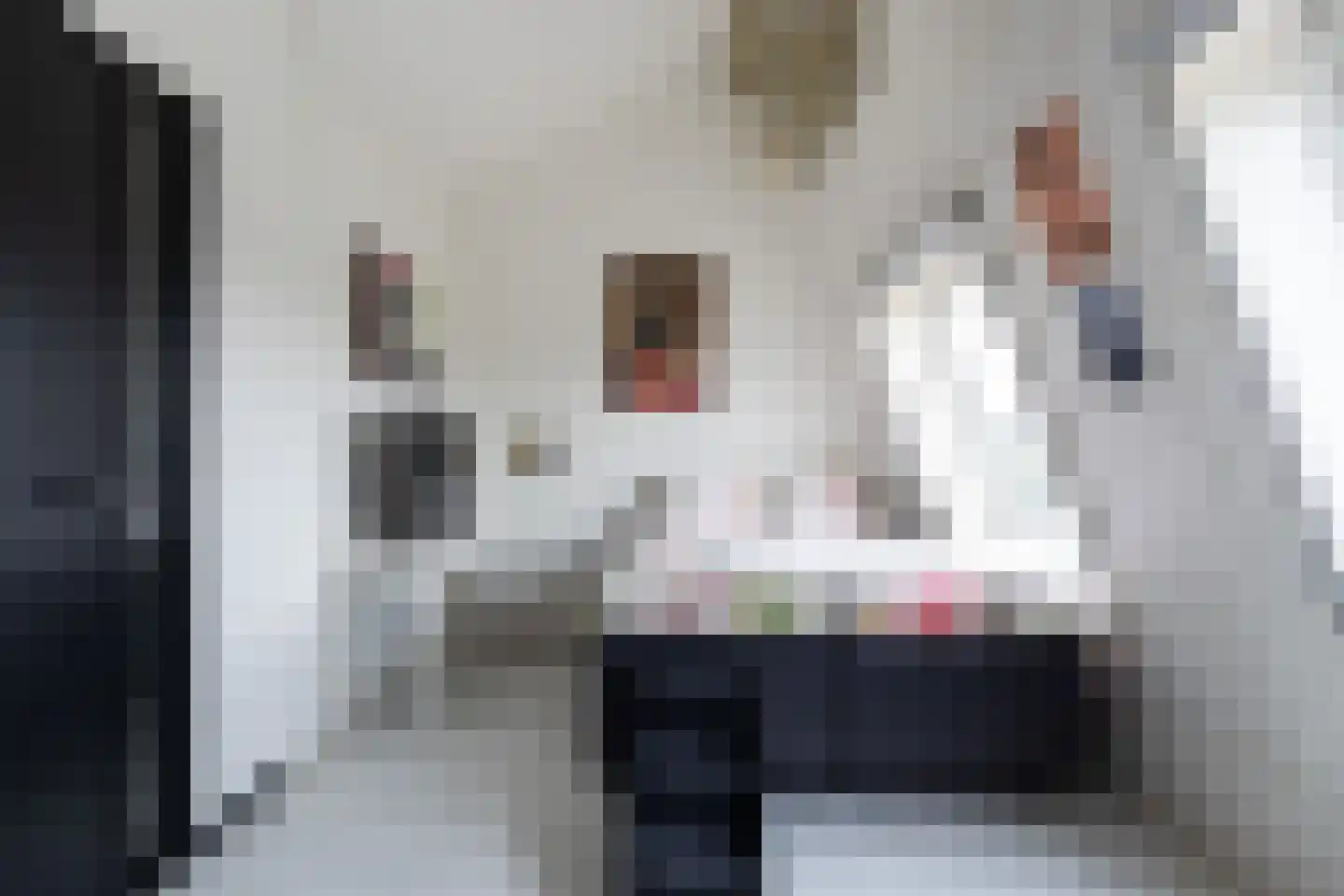 Bundelzwam 29 Vleuten thumbnail 25