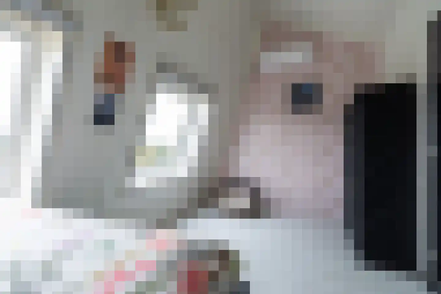 Bundelzwam 29 Vleuten thumbnail 26