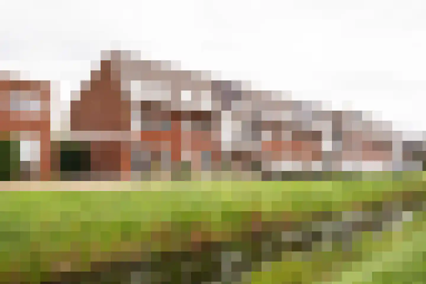Bundelzwam 29 Vleuten thumbnail 29