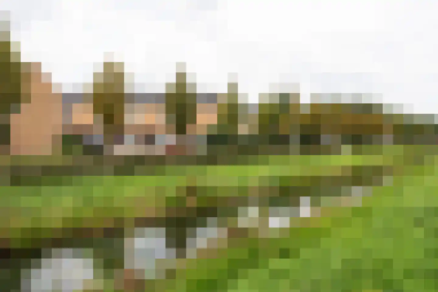Bundelzwam 29 Vleuten thumbnail 30