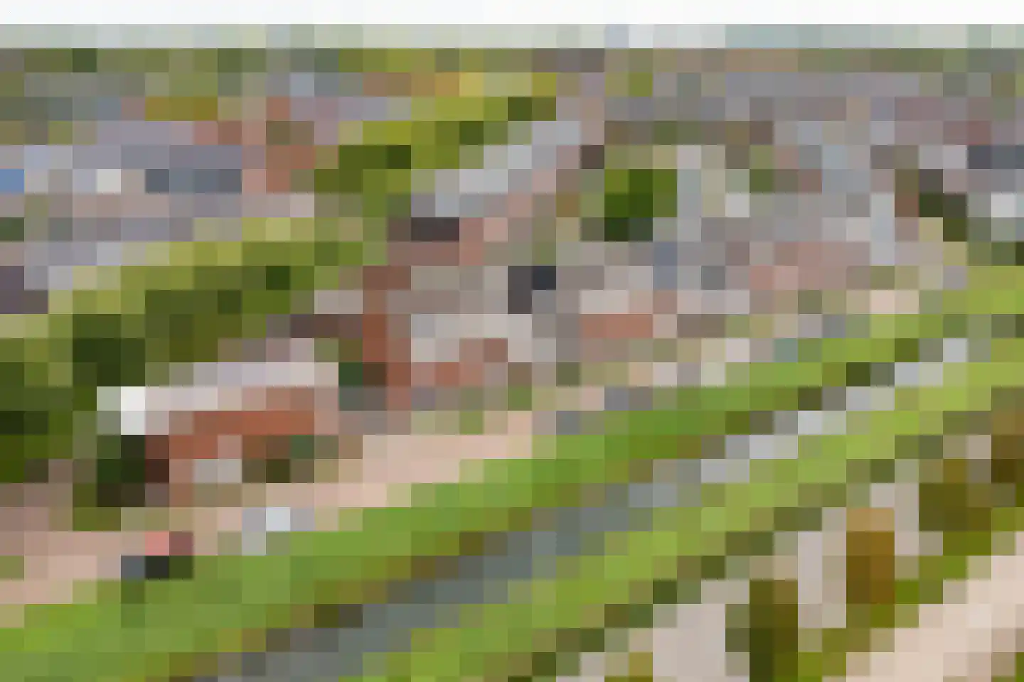 Bundelzwam 29 Vleuten thumbnail 31