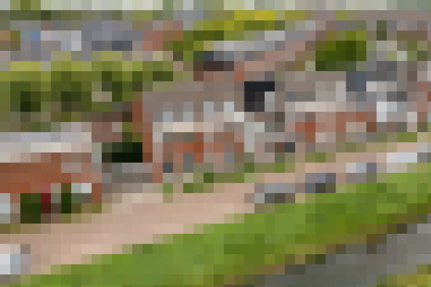 Bundelzwam 29 Vleuten thumbnail 32