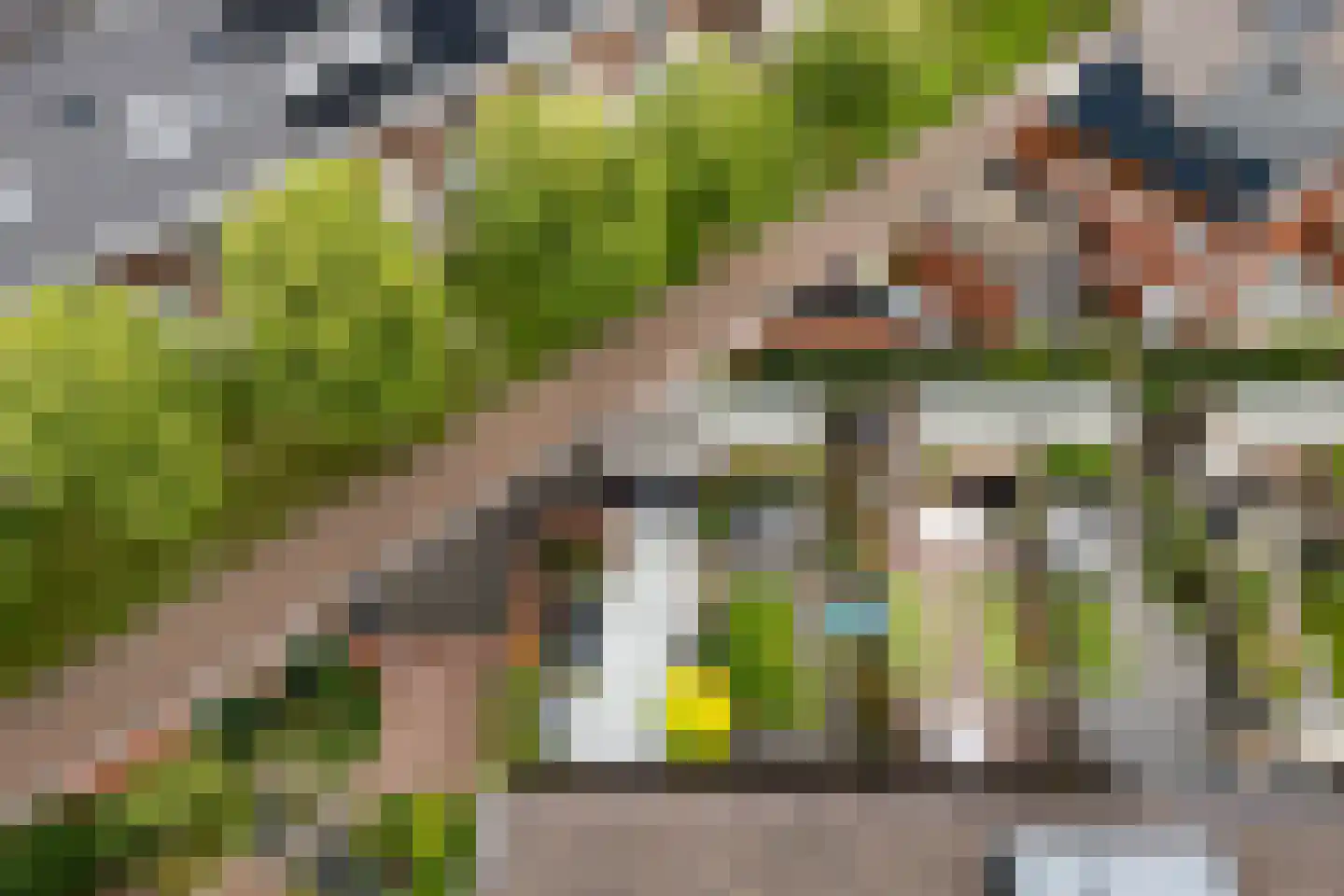 Bundelzwam 29 Vleuten thumbnail 33