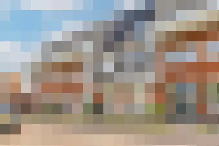 Bundelzwam 33 Vleuten
