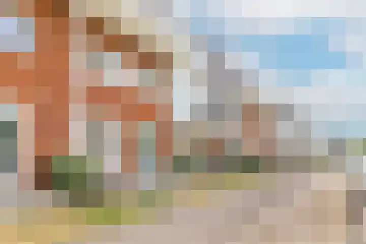 Bundelzwam 33 Vleuten thumbnail 28