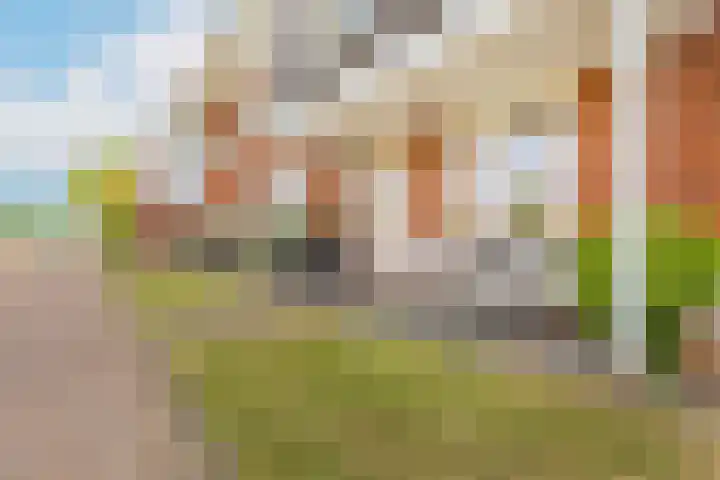 Bundelzwam 33 Vleuten thumbnail 29