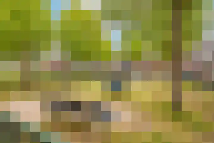 Bundelzwam 33 Vleuten thumbnail 30