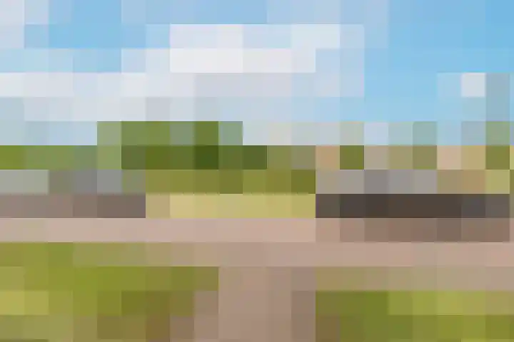 Bundelzwam 33 Vleuten thumbnail 31