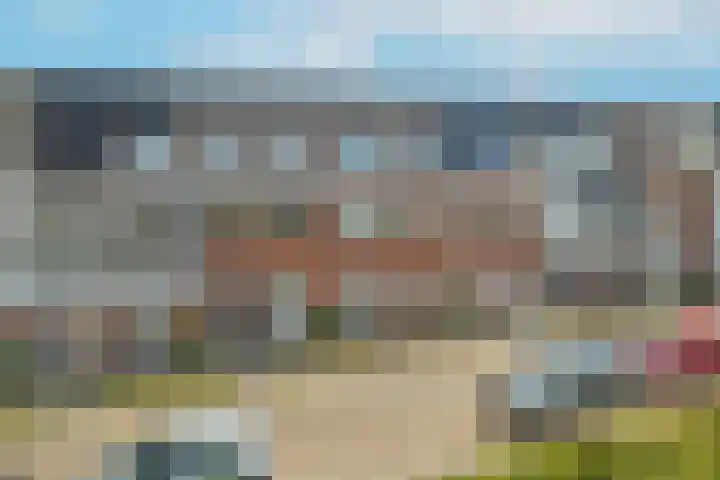 Bundelzwam 33 Vleuten thumbnail 32