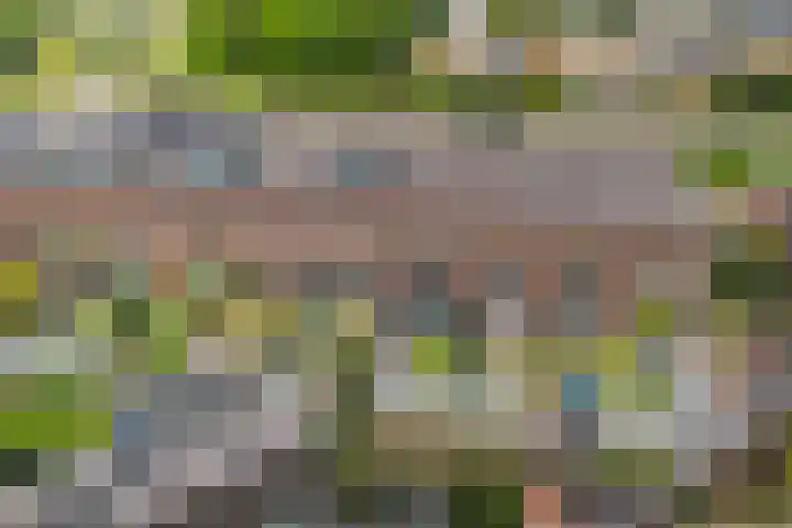 Bundelzwam 33 Vleuten thumbnail 35