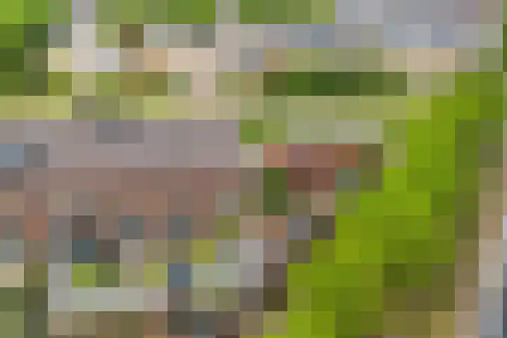 Bundelzwam 33 Vleuten thumbnail 36