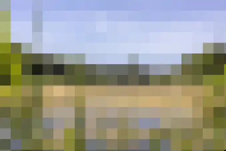 Bundelzwam 33 Vleuten thumbnail 39