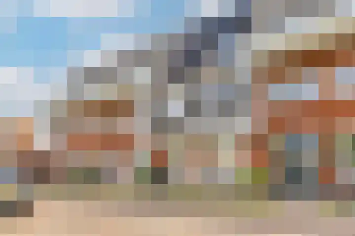 Bundelzwam 33 Vleuten thumbnail 45