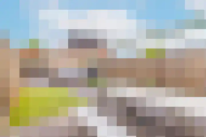 Bundelzwam 33 Vleuten thumbnail 5
