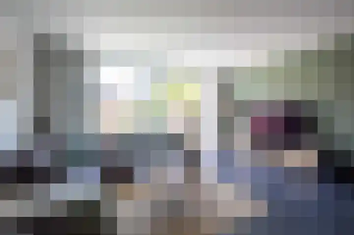 Bundelzwam 43 Vleuten thumbnail 11