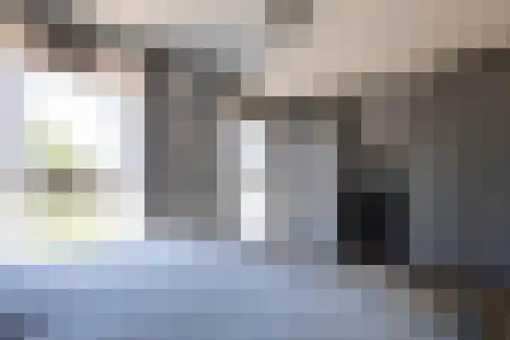 Bundelzwam 43 Vleuten thumbnail 24
