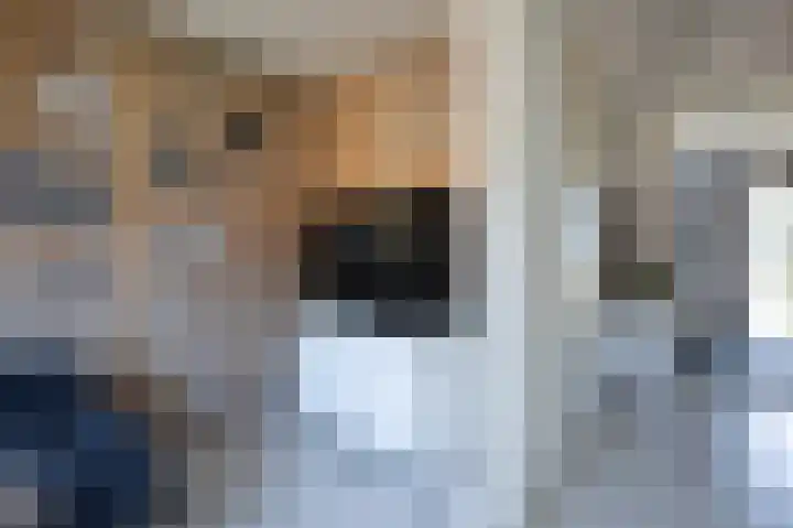 Bundelzwam 43 Vleuten thumbnail 28