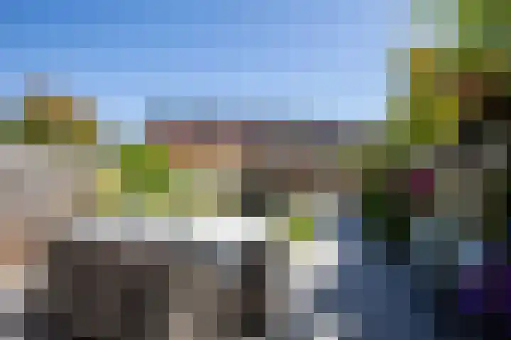 Bundelzwam 43 Vleuten thumbnail 41