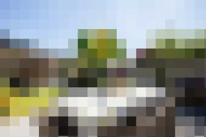 Bundelzwam 43 Vleuten thumbnail 42