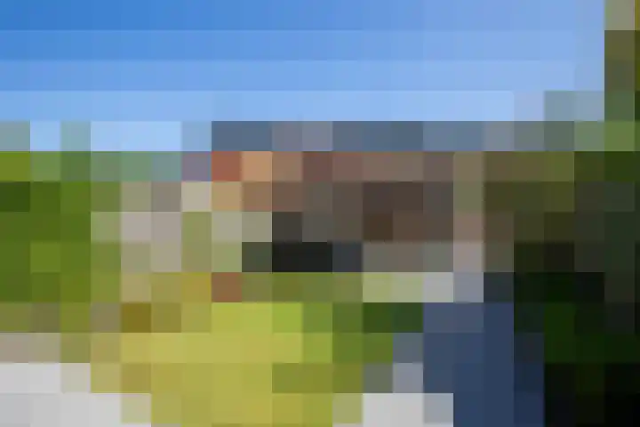 Bundelzwam 43 Vleuten thumbnail 43