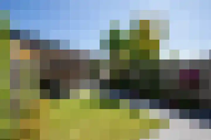 Bundelzwam 43 Vleuten thumbnail 44