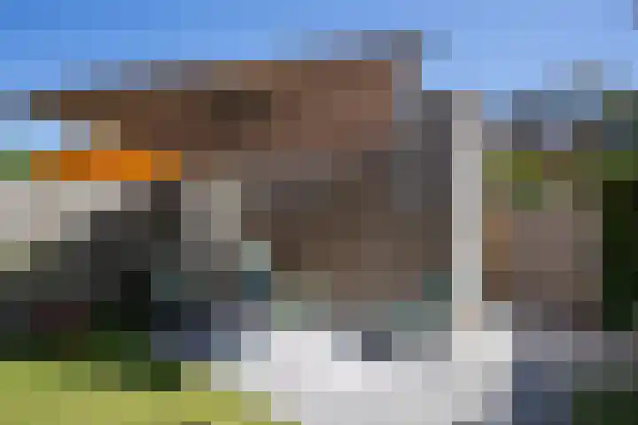 Bundelzwam 43 Vleuten thumbnail 45