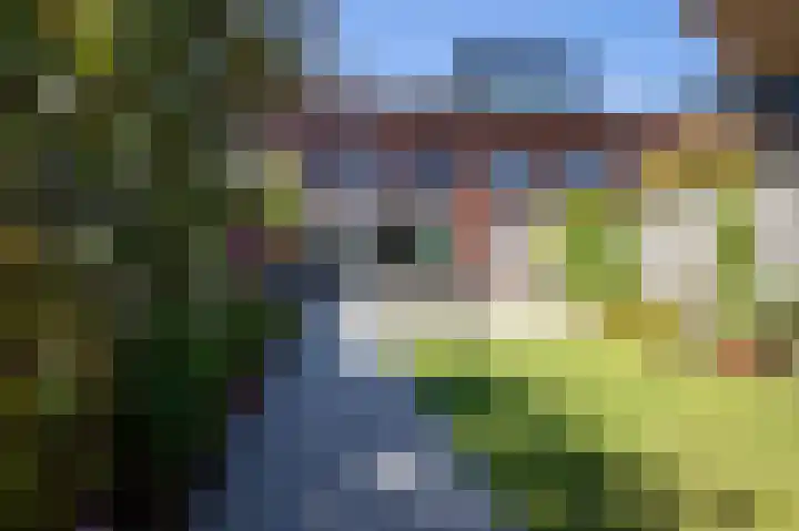 Bundelzwam 43 Vleuten thumbnail 46