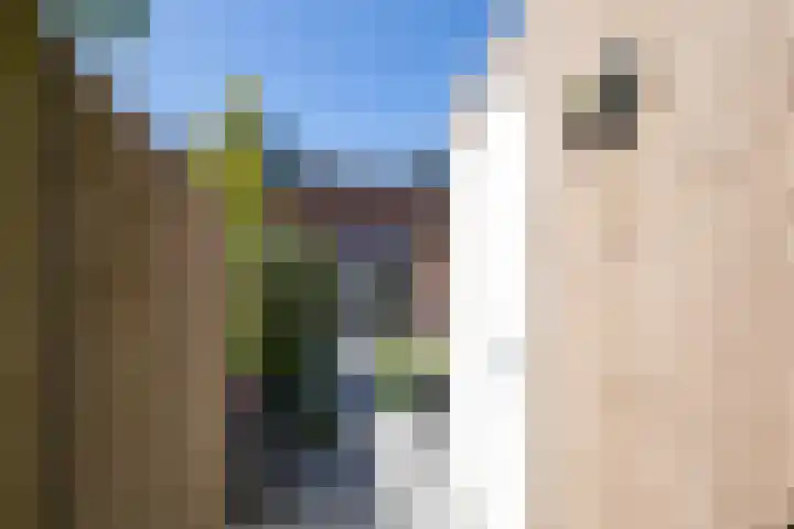 Bundelzwam 43 Vleuten thumbnail 47