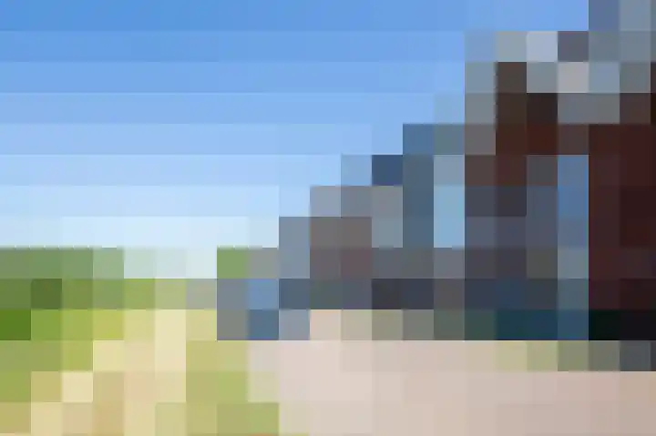 Bundelzwam 43 Vleuten thumbnail 48