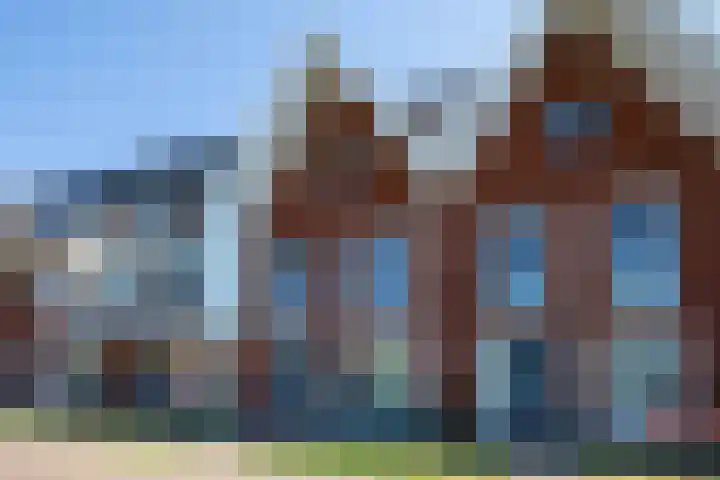 Bundelzwam 43 Vleuten thumbnail 49
