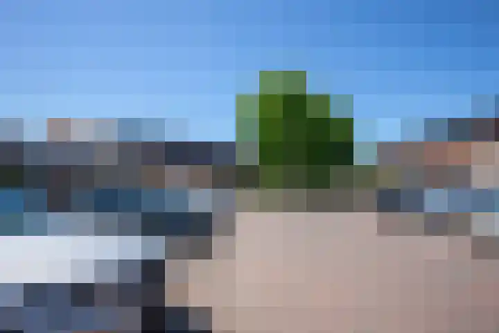 Bundelzwam 43 Vleuten thumbnail 50