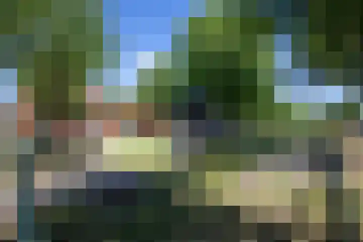 Bundelzwam 43 Vleuten thumbnail 51