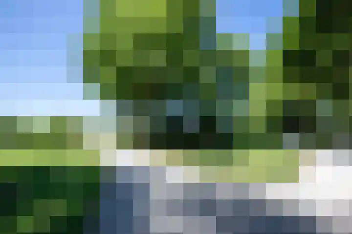 Bundelzwam 43 Vleuten thumbnail 52