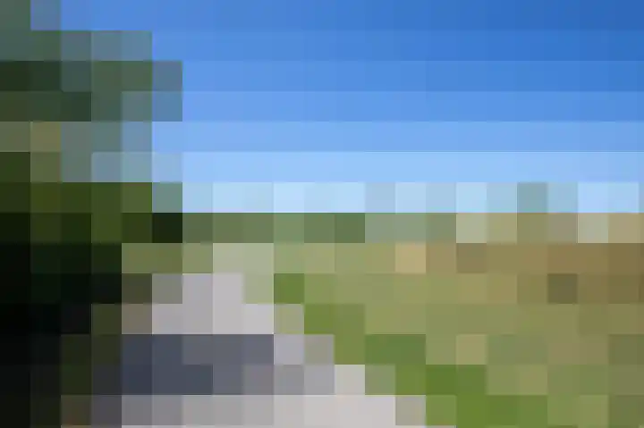 Bundelzwam 43 Vleuten thumbnail 53