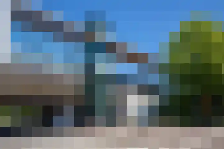 Bundelzwam 43 Vleuten thumbnail 54
