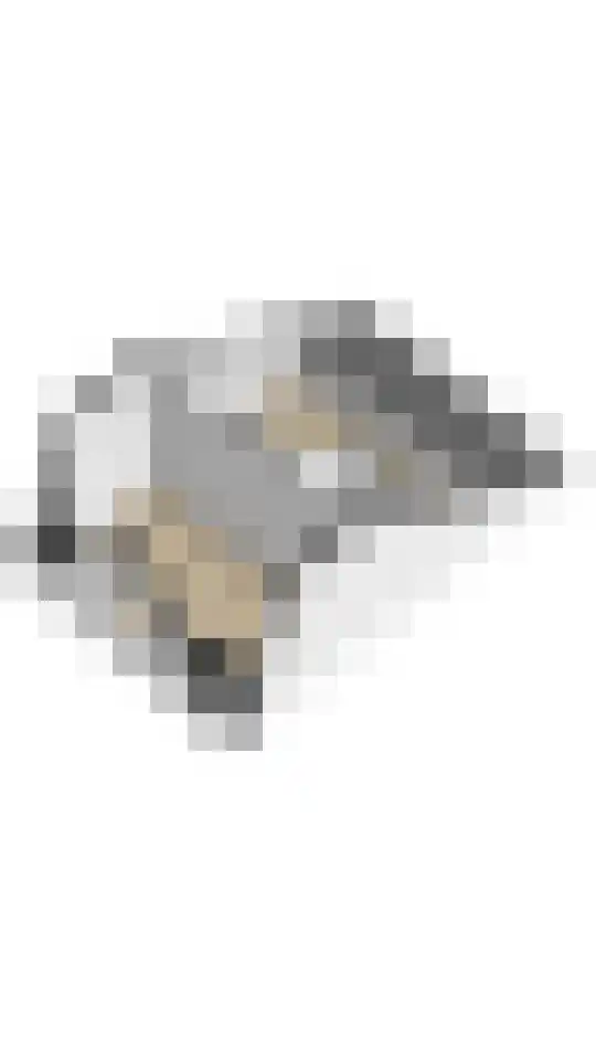 Bundelzwam 43 Vleuten thumbnail 57