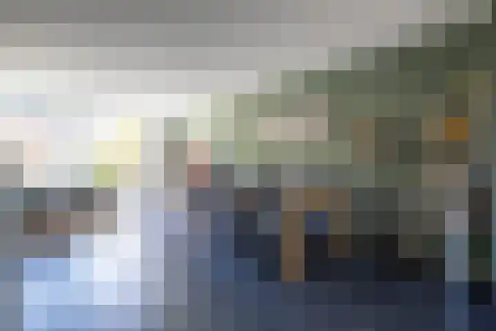 Bundelzwam 43 Vleuten thumbnail 7