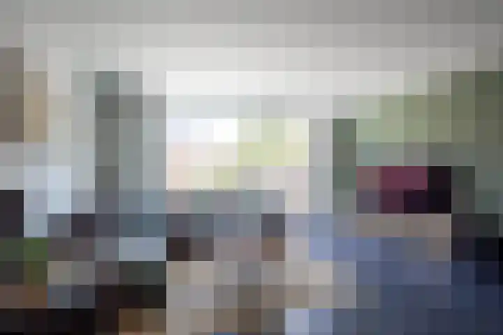 Bundelzwam 43 Vleuten thumbnail 9