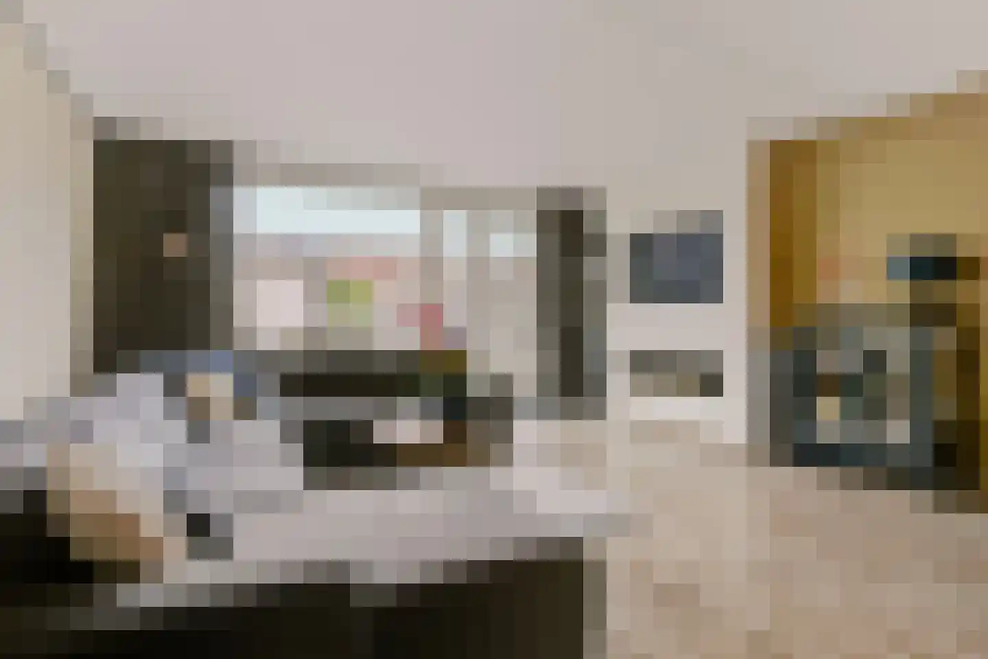Bundelzwam 63 Vleuten thumbnail 11